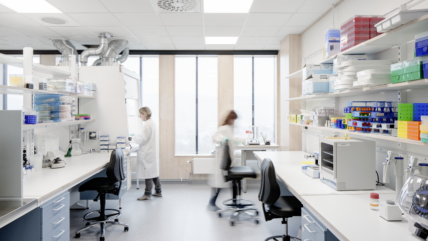 Pretzel Therapeutics, LINK Arkitektur