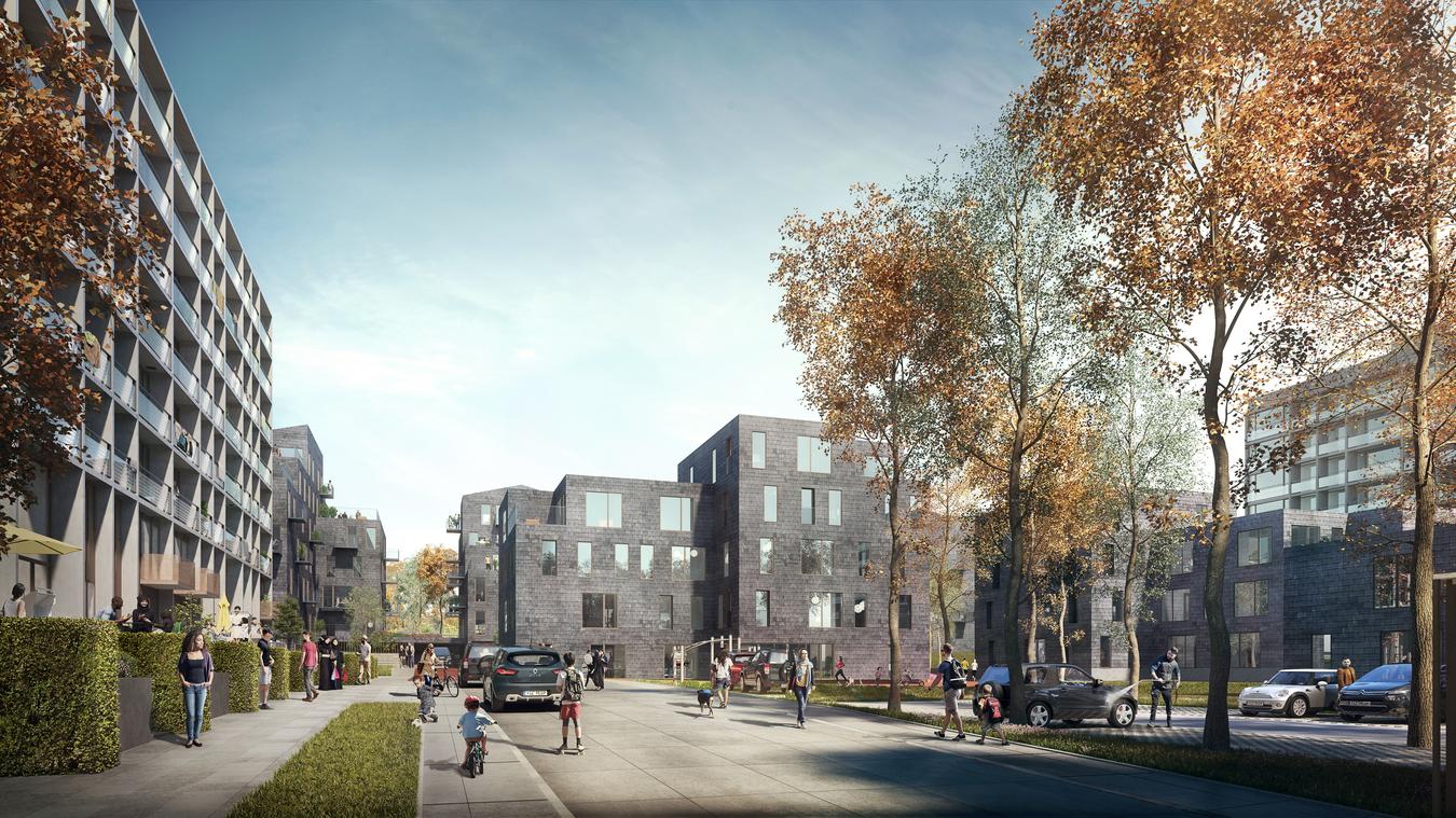 Homes with sidewalks and parking spaces in front. Illustration