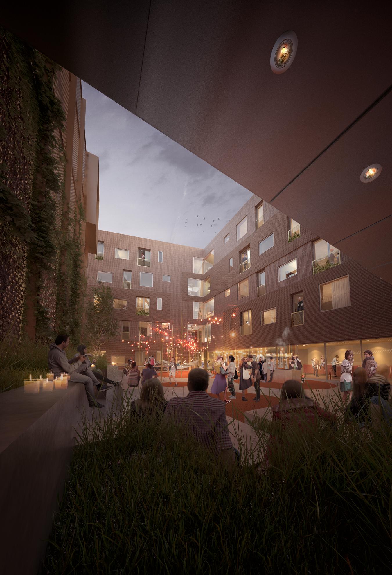 Social events in the evening in the backyard. Illustration