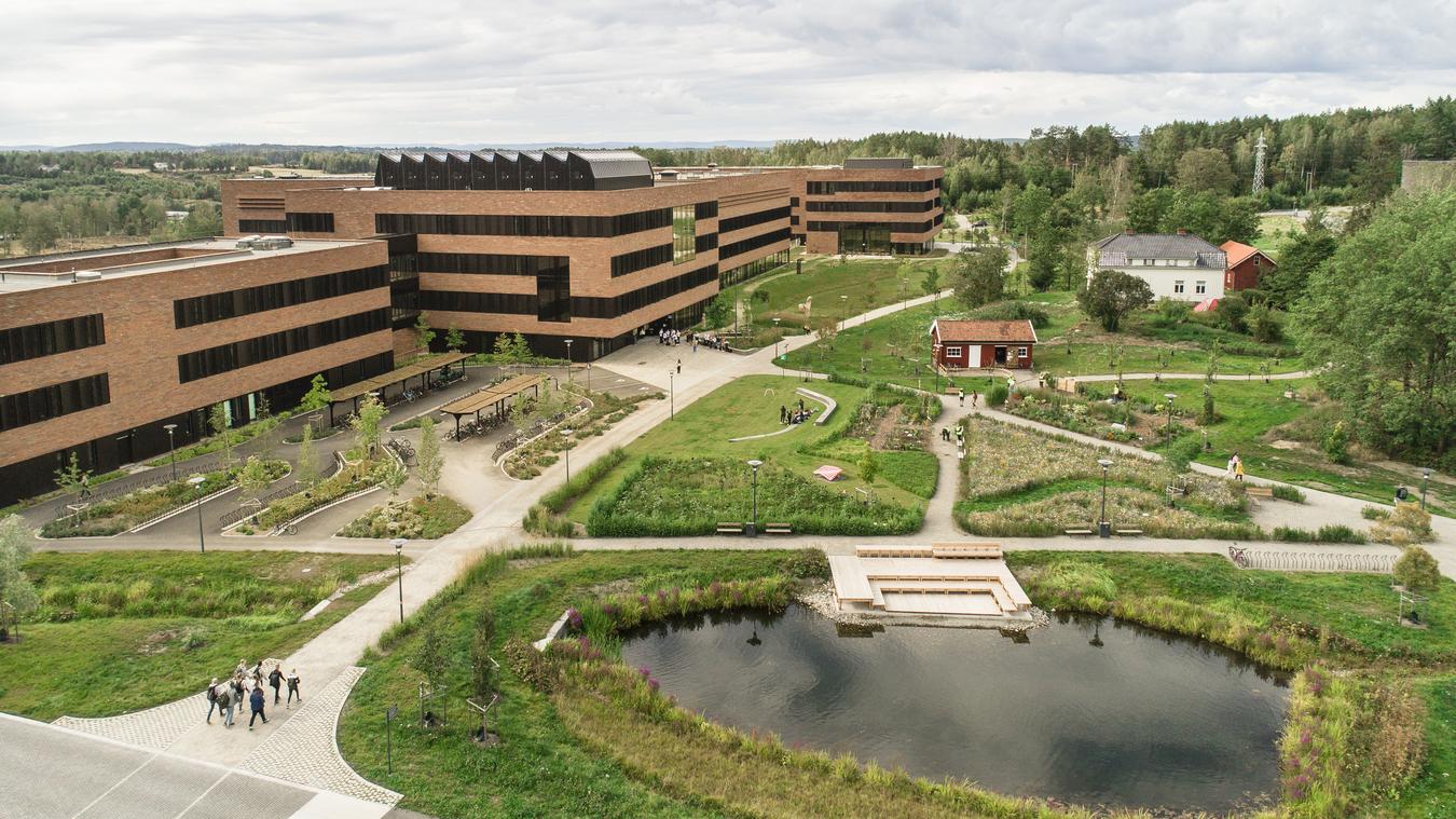 Oversikt over uteområdet på campus. Foto