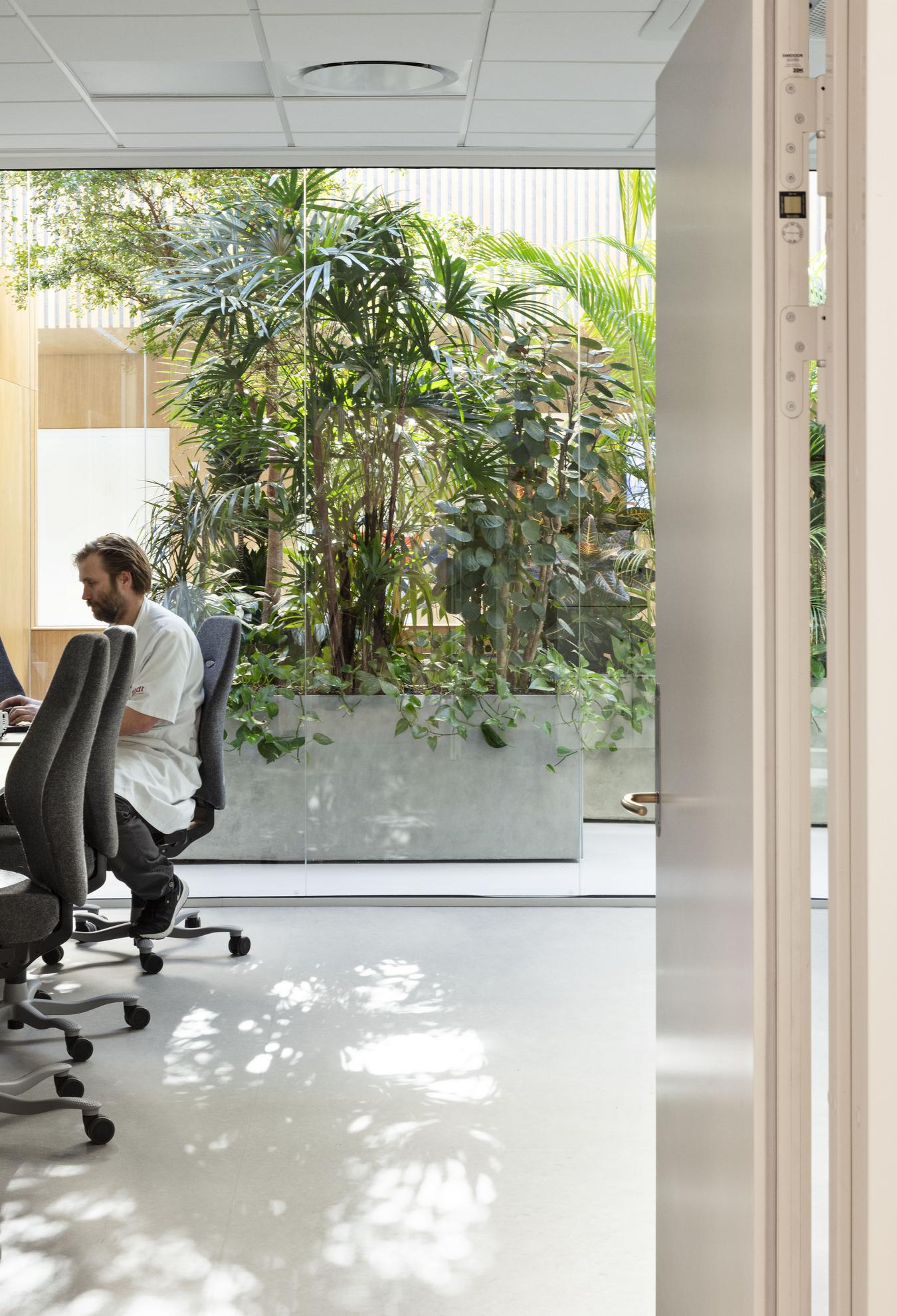 Employee working with exotic vegetation in the background. Photo