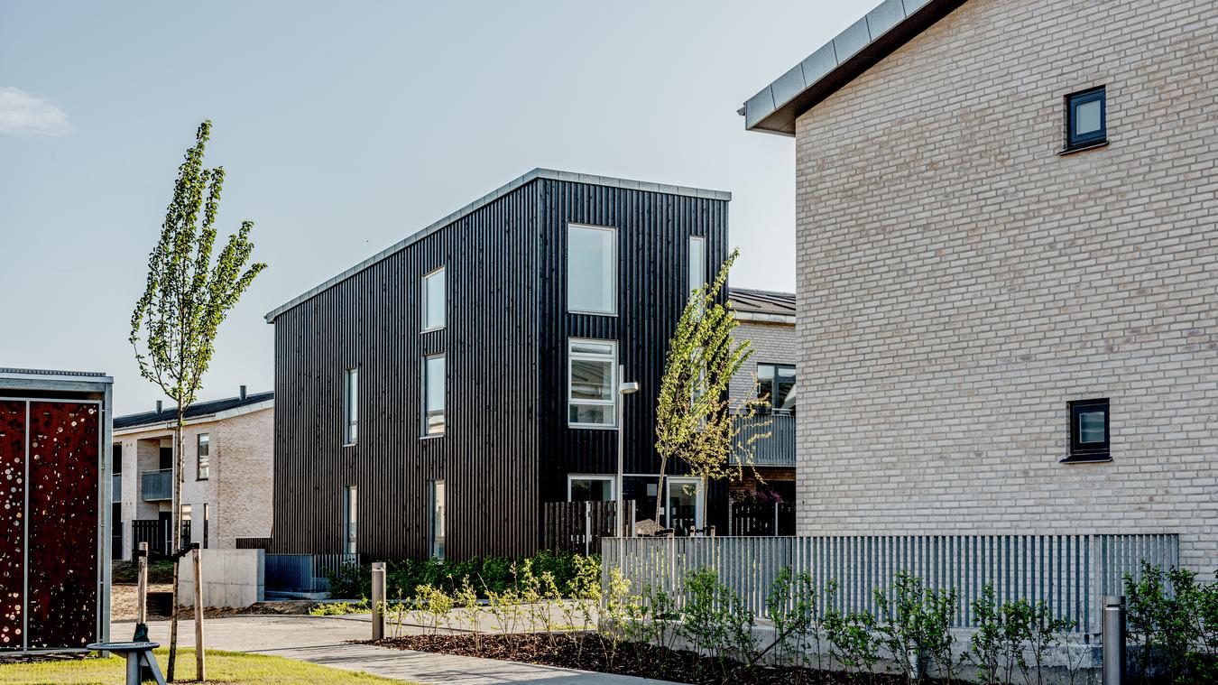 Homes with wooden facades and bricks. Photo