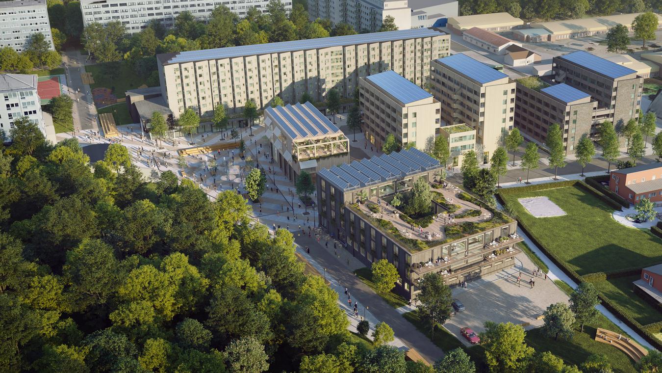 Urban environment with squares and roof terraces, seen from above. Illustration