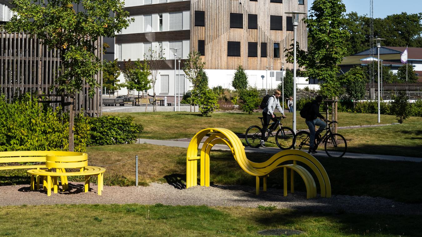 Green outdoor area with yellow decorative sitting benches. Photo