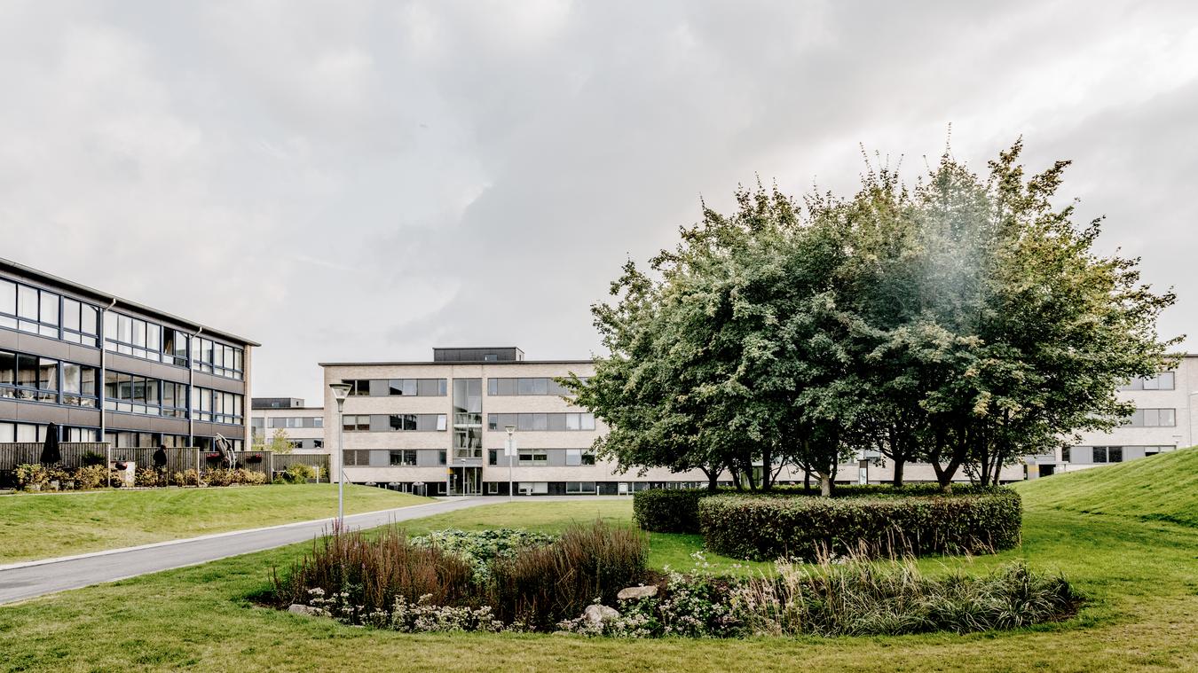 Uteområde med trær og bygninger rundt. Foto