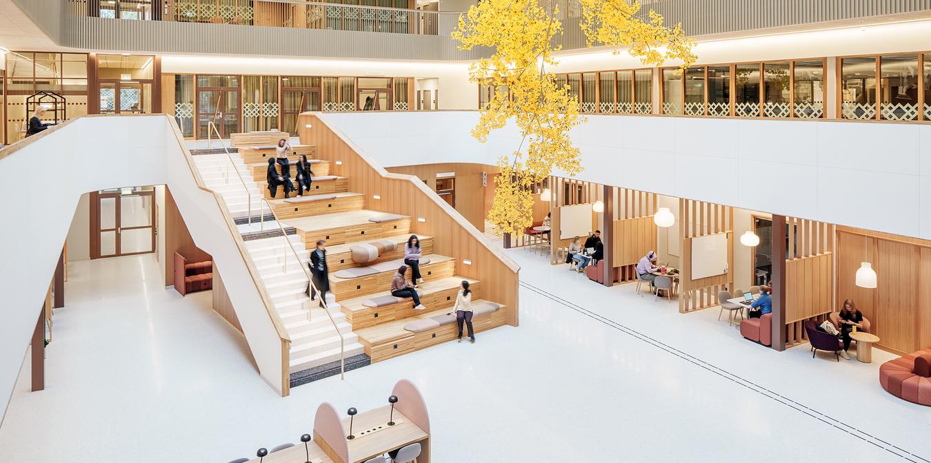 Natrium, LINK Arkitektur