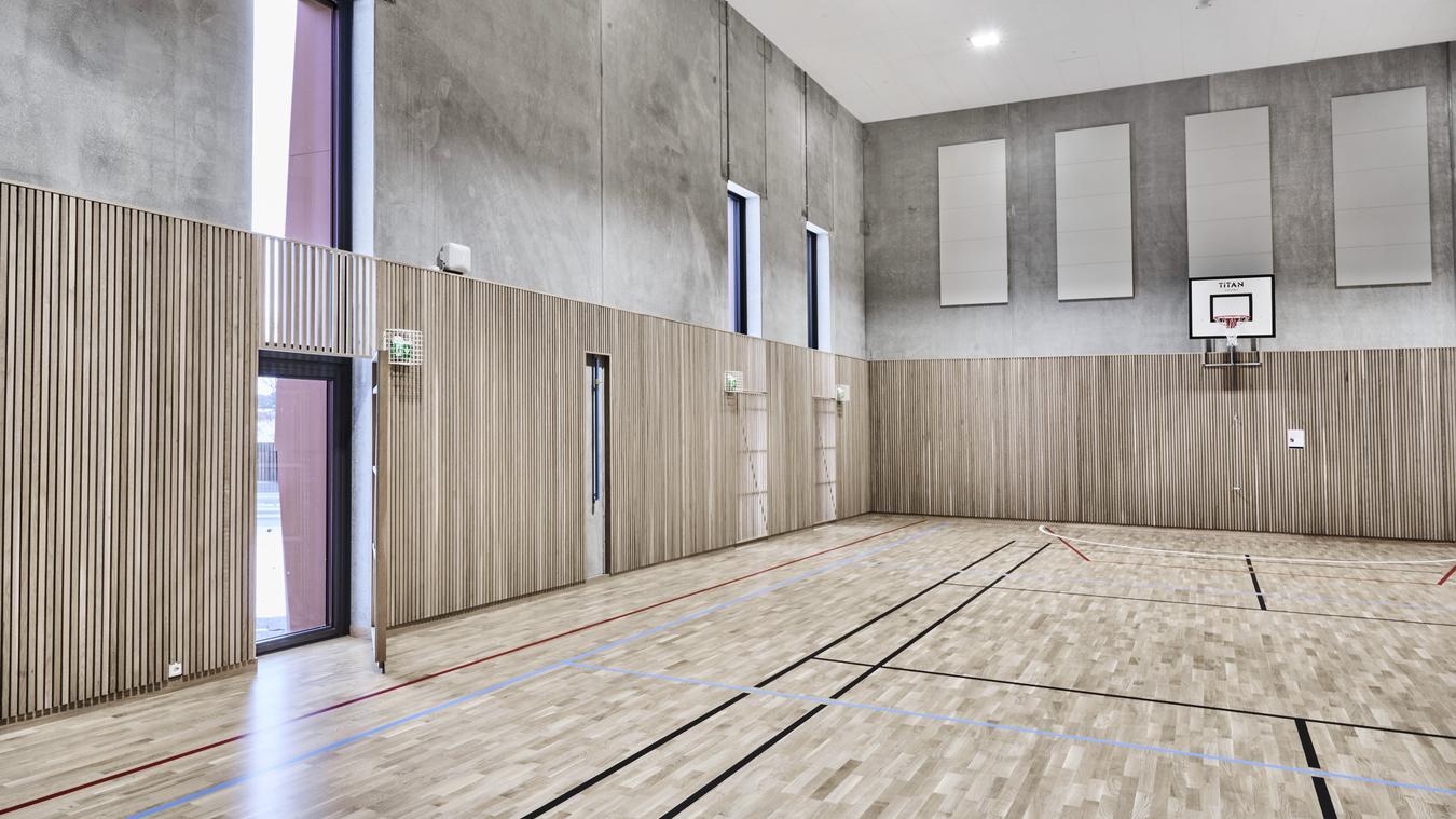 Interior, gymnasium with wooden walls and concrete. Photo