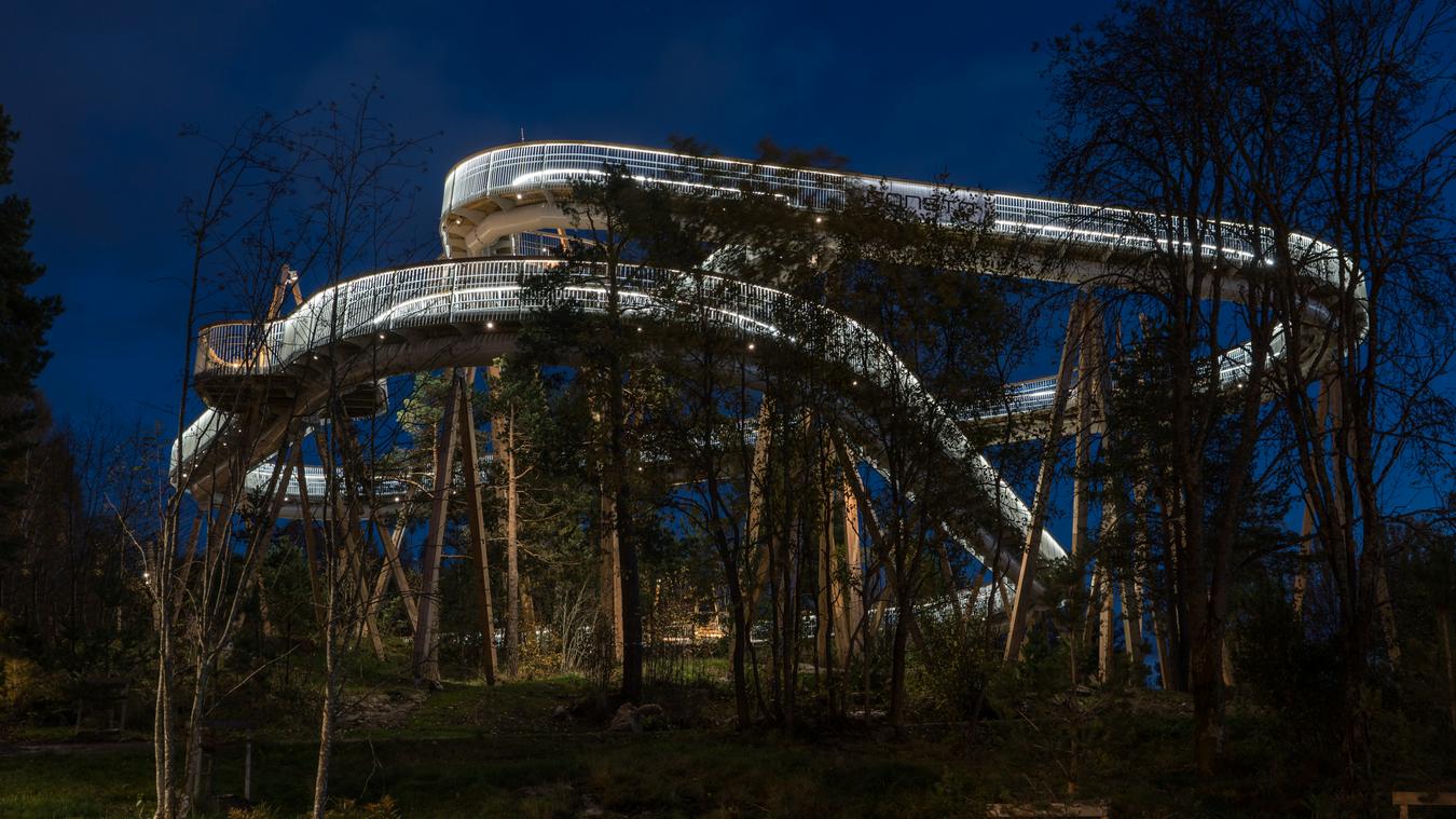 Universelt utformet turløype oppe blant trærne. Foto